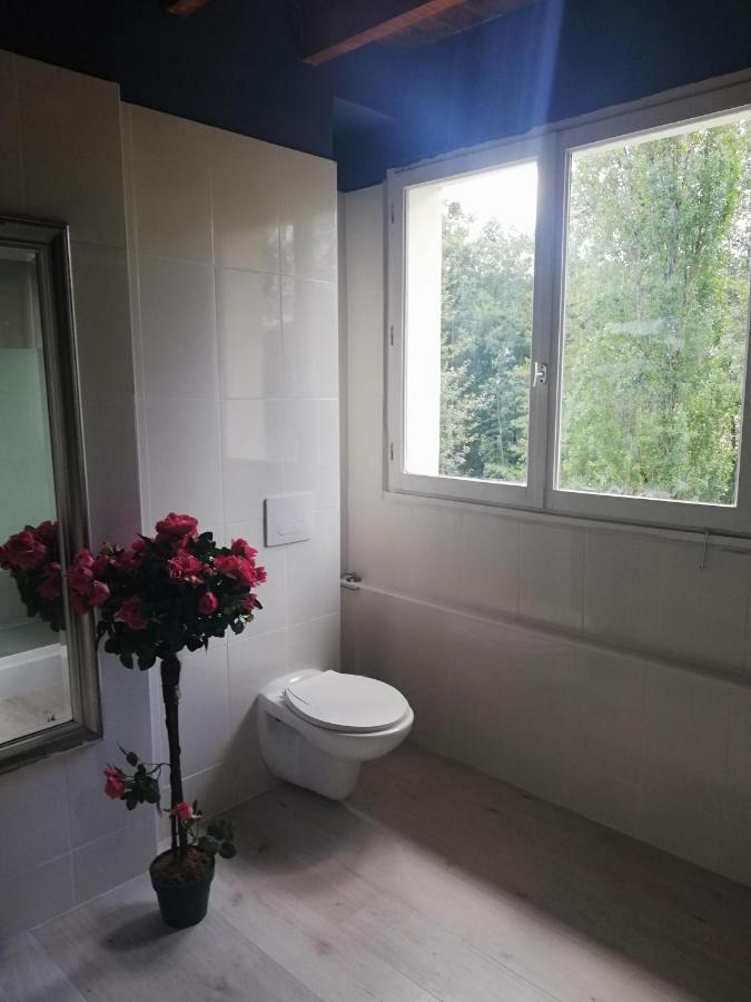 Chambre D'Hote Moulin Du Breuil. Pionnat Exterior foto